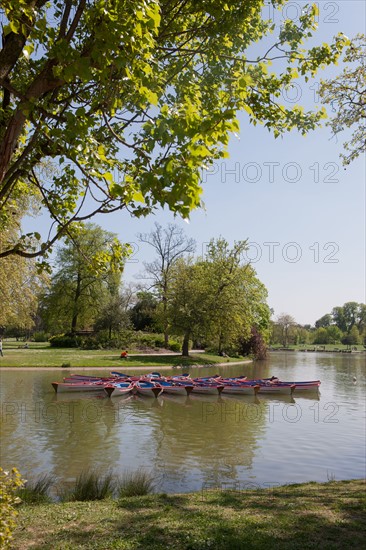 France, Région Ile de France, Paris 12e arrondissement, Bois de Vincennes, Lac Daumesnil, barques, canotage