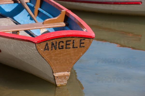 France, Région Ile de France, Paris 12e arrondissement, Bois de Vincennes, Lac Daumesnil, barques, canotage