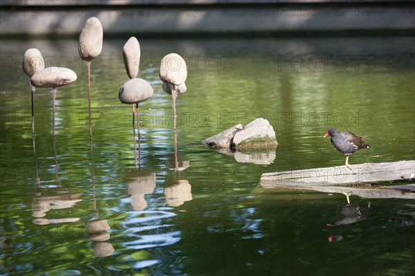 France, Région Ile de France, Paris 12e arrondissement, Parc de Bercy, étang, réserve d'oiseaux,