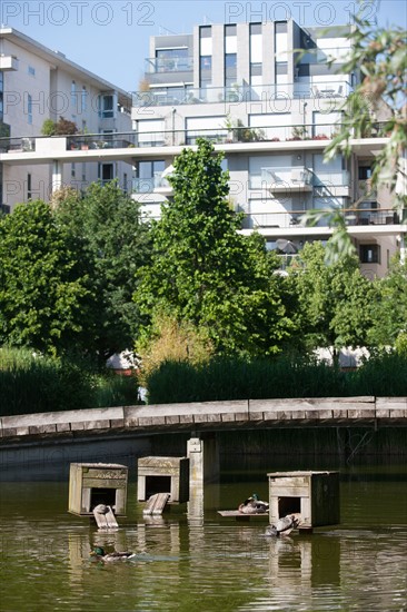 France, Région Ile de France, Paris 12e arrondissement, Parc de Bercy, étang avec canards et tortues,