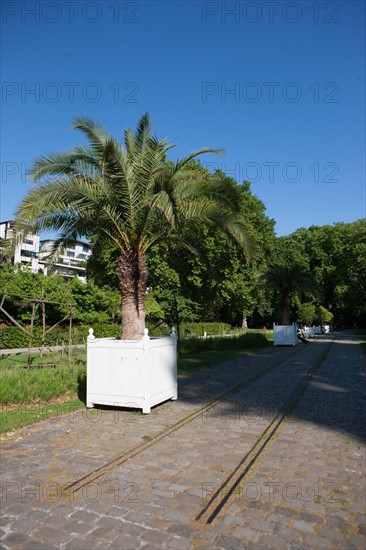 France, Région Ile de France, Paris 12e arrondissement, Parc de Bercy,