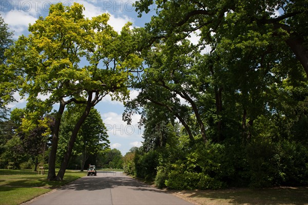 Paris 16e arrondissement,  Bois de Boulogne