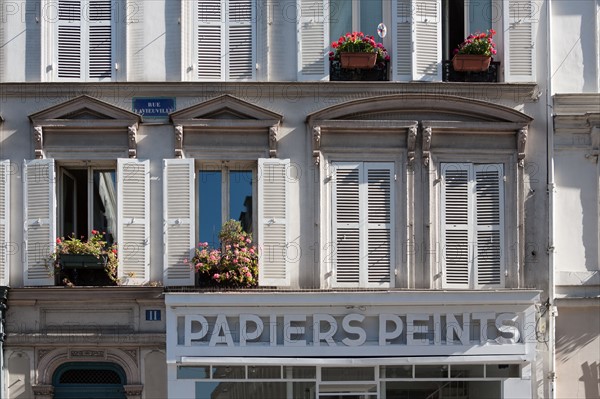 France, Région Ile de France, Paris 18e arrondissement, Montmartre, Rue la Vieuville, façades, papier peint,