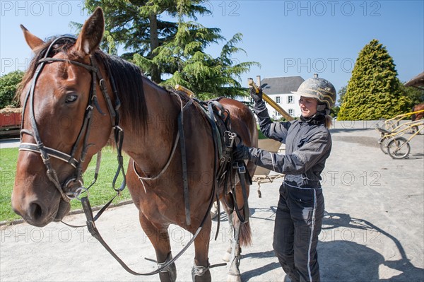 France, Région Basse Normandie, Manche, Haras de Bellevent, écurie Pierre Levesque, entraînement de trotteurs, Camille Levesque, piste,