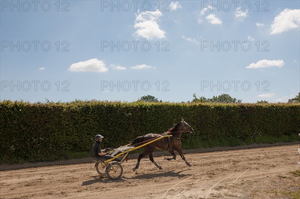 France, Région Basse Normandie, Manche, Haras de Bellevent, écurie Pierre Levesque, entraînement de trotteurs, Camille Levesque, piste,