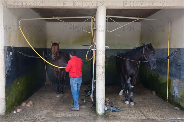 France, Région Basse Normandie, Manche, Haras de Bellevent, écurie Pierre Levesque, entraînement de trotteurs, Camille Levesque, piste,