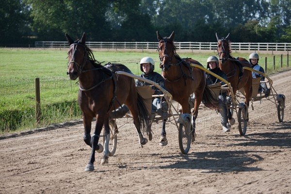 France, Région Basse Normandie, Manche, Haras de Bellevent, écurie Pierre Levesque, entraînement de trotteurs, Camille Levesque, piste,