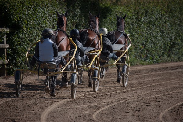 France, Région Basse Normandie, Manche, Haras de Bellevent, écurie Pierre Levesque, entraînement de trotteurs, Camille Levesque, piste,