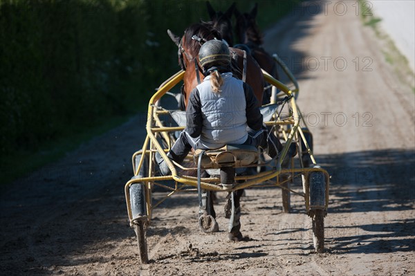 France, Région Basse Normandie, Manche, Haras de Bellevent, écurie Pierre Levesque, entraînement de trotteurs, Camille Levesque, piste,