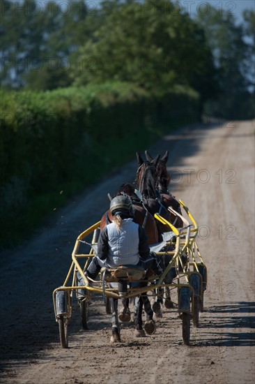 France, Région Basse Normandie, Manche, Haras de Bellevent, écurie Pierre Levesque, entraînement de trotteurs, Camille Levesque, piste,