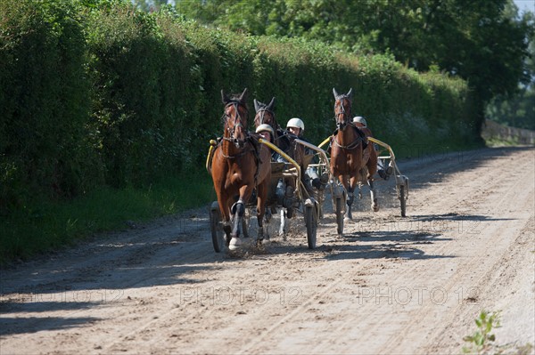 France, Région Basse Normandie, Manche, Haras de Bellevent, écurie Pierre Levesque, entraînement de trotteurs, Camille Levesque, piste,