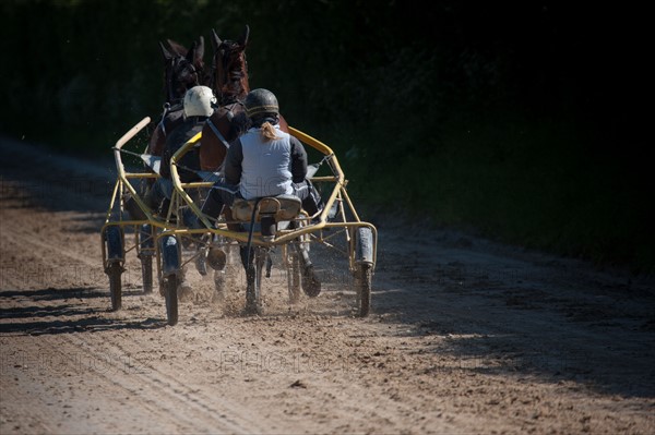 France, Région Basse Normandie, Manche, Haras de Bellevent, écurie Pierre Levesque, entraînement de trotteurs, Camille Levesque, piste,