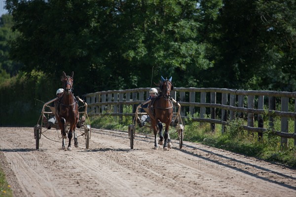 France, Région Basse Normandie, Manche, Haras de Bellevent, écurie Pierre Levesque, entraînement de trotteurs, Camille Levesque, piste,