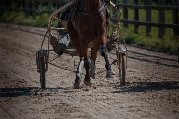 France, Région Basse Normandie, Manche, Haras de Bellevent, écurie Pierre Levesque, entraînement de trotteurs, Camille Levesque, piste,