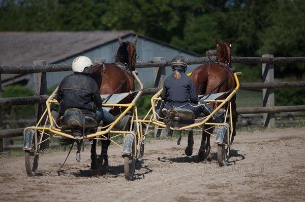 France, Région Basse Normandie, Manche, Haras de Bellevent, écurie Pierre Levesque, entraînement de trotteurs, Camille Levesque, piste,