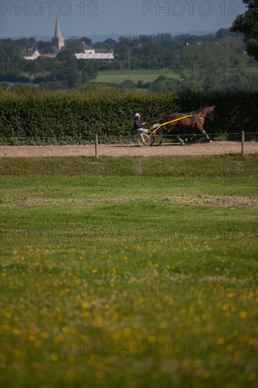 France, Région Basse Normandie, Manche, Haras de Bellevent, écurie Pierre Levesque, entraînement de trotteurs, Camille Levesque, piste,