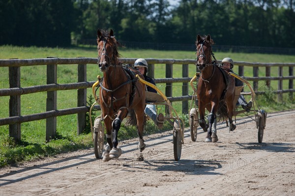 France, Région Basse Normandie, Manche, Haras de Bellevent, écurie Pierre Levesque, entraînement de trotteurs, Camille Levesque, piste,