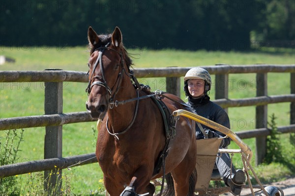 France, Région Basse Normandie, Manche, Haras de Bellevent, écurie Pierre Levesque, entraînement de trotteurs, Camille Levesque, piste,