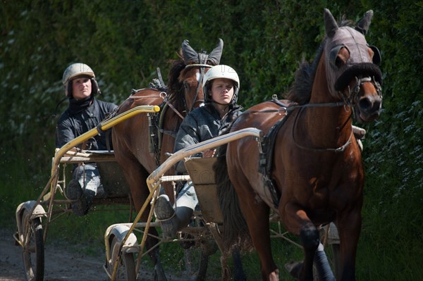 France, Région Basse Normandie, Manche, Haras de Bellevent, écurie Pierre Levesque, entraînement de trotteurs, Camille Levesque, piste,