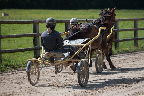 France, Région Basse Normandie, Manche, Haras de Bellevent, écurie Pierre Levesque, entraînement de trotteurs, Camille Levesque, piste,