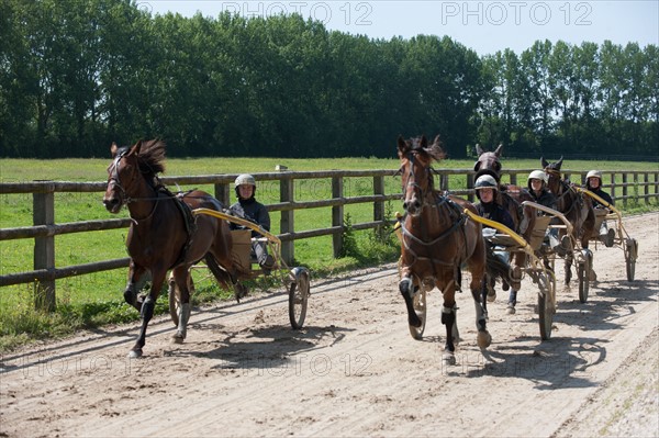 Manche, Haras de Bellevent