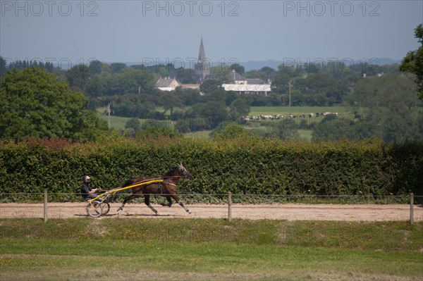 France, Région Basse Normandie, Manche, Haras de Bellevent, écurie Pierre Levesque, entraînement de trotteurs, Camille Levesque, piste,