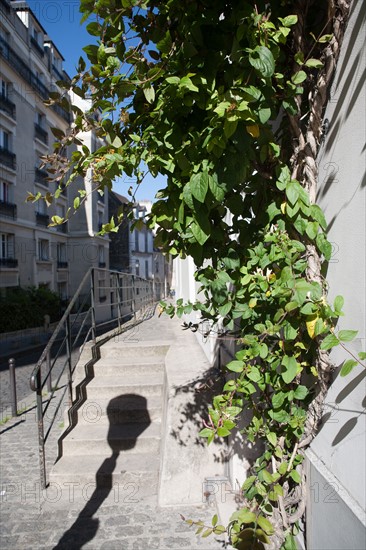 Paris 18e arrondissement, Montmartre