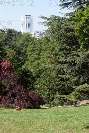 France, Région Ile de France, Paris 19e arrondissement, Parc des Buttes Chaumont, jardin, Ville de Paris, environnement, Second Empire,