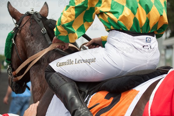 France, Région Ile de France, Val de Marne, hippodrome de Vincennes, Prix du Président de la République, Camille Levesque, trot monté,