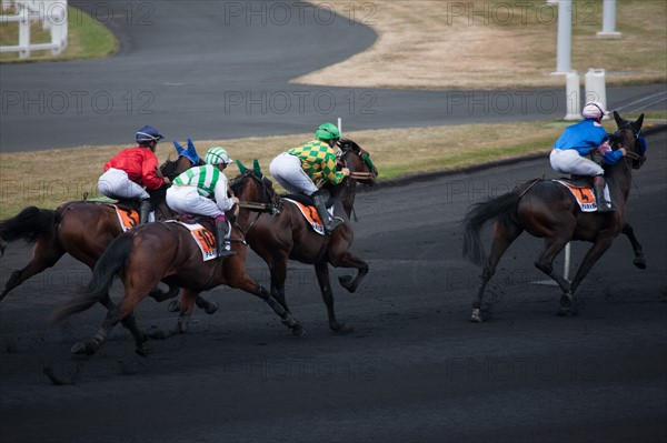 France, Région Ile de France, Val de Marne, hippodrome de Vincennes, Prix du Président de la République, Camille Levesque, trot monté,