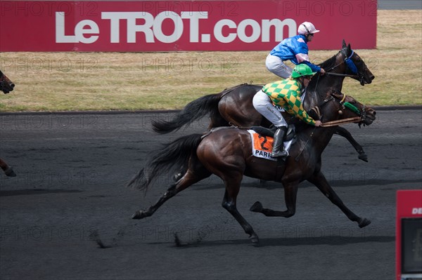 France, Région Ile de France, Val de Marne, hippodrome de Vincennes, Prix du Président de la République, Camille Levesque, trot monté,