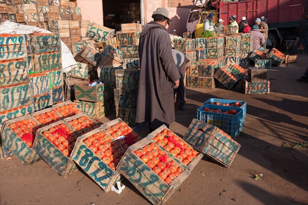 Afrique du nord, Maroc, Marrakech, souk, marché de gros, alimentaire,