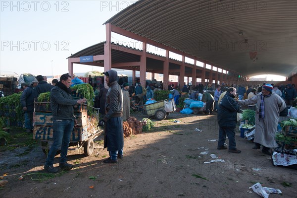 Afrique du nord, Maroc, Marrakech, souk, marché de gros, alimentaire,