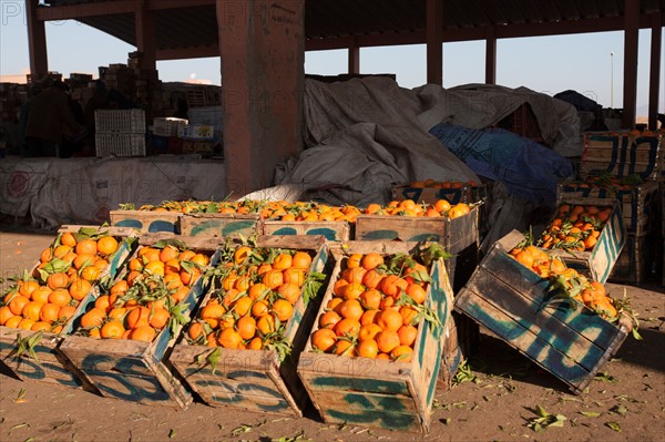 Afrique du nord, Maroc, Marrakech, souk, marché de gros, alimentaire,