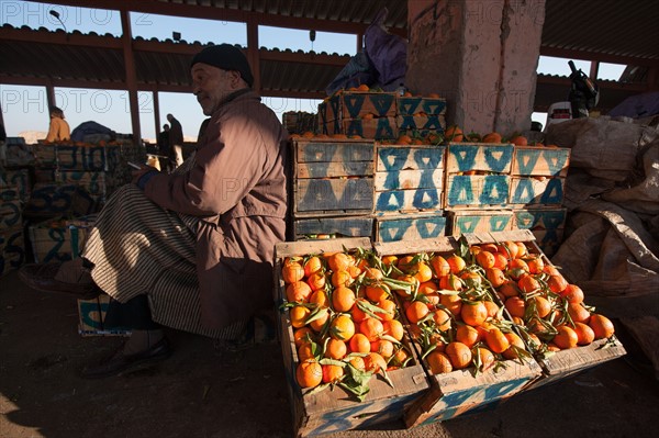 Afrique du nord, Maroc, Marrakech, souk, marché de gros, alimentaire,