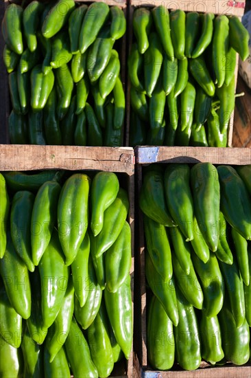 Afrique du nord, Maroc, Marrakech, souk, marché de gros, alimentaire,