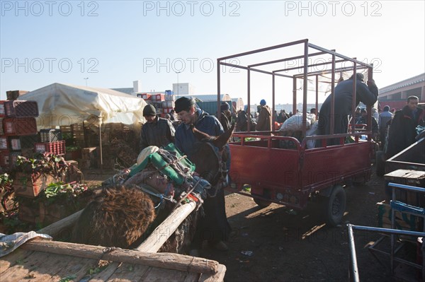 Afrique du nord, Maroc, Marrakech, souk, marché de gros, alimentaire,