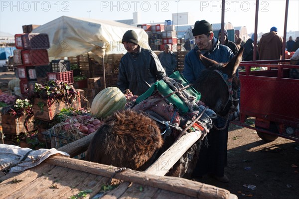 Afrique du nord, Maroc, Marrakech, souk, marché de gros, alimentaire,