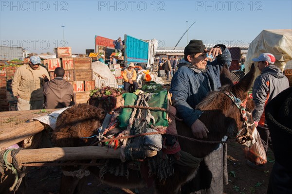 Afrique du nord, Maroc, Marrakech, souk, marché de gros, alimentaire,