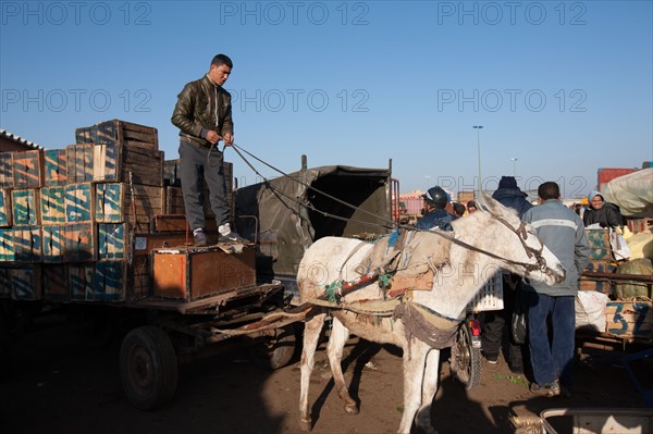 Marrakech,  souk