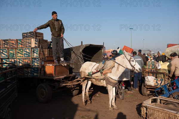 Afrique du nord, Maroc, Marrakech, souk, marché de gros, alimentaire,