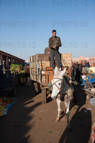 Afrique du nord, Maroc, Marrakech, souk, marché de gros, alimentaire,