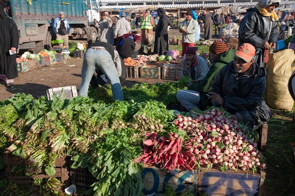 Afrique du nord, Maroc, Marrakech, souk, marché de gros, alimentaire,