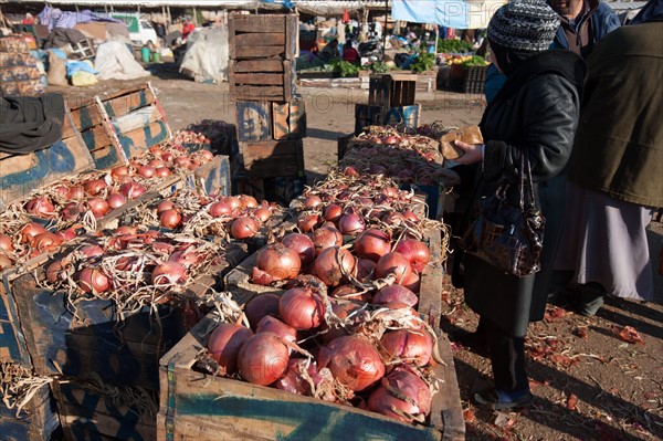 Afrique du nord, Maroc, Marrakech, souk, marché de gros, alimentaire,