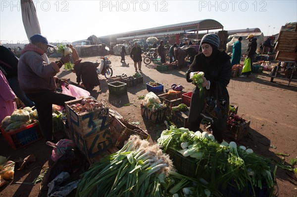 Afrique du nord, Maroc, Marrakech, souk, marché de gros, alimentaire,