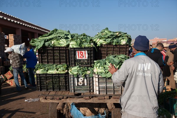 Afrique du nord, Maroc, Marrakech, souk, marché de gros, alimentaire,