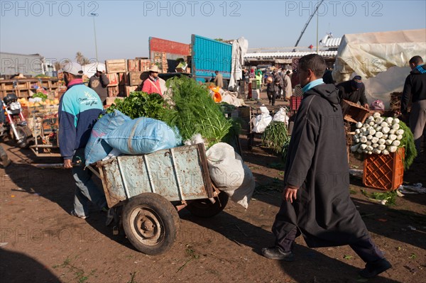 Afrique du nord, Maroc, Marrakech, souk, marché de gros, alimentaire,