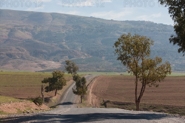 Marrakech,  pied du Haut Atlas