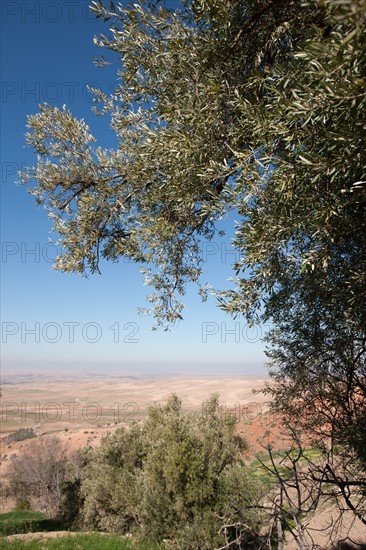 Afrique du nord, Maroc, Marrakech, pied du Haut Atlas, route d'Amizmiz, en direction de Sidi Brahim,