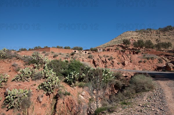 Marrakech,  pied du Haut Atlas